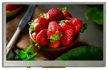 TFT LCD Display